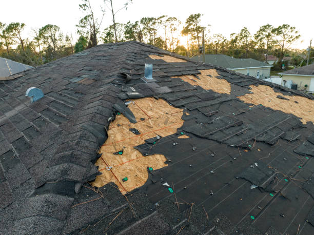 Best Storm Damage Roof Repair  in Hailey, ID